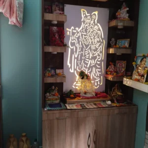 Devotional Silhouette Panel Ply Singhasan