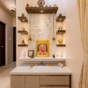 Light Side Shelf Ply Singhasan